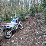 Avatar du membre