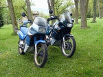 Avatar du membre