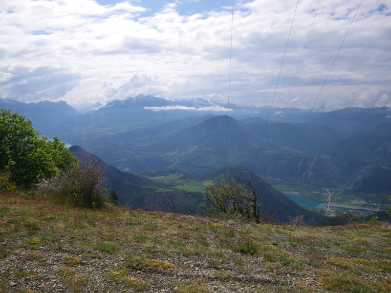 IMGP2449.JPG