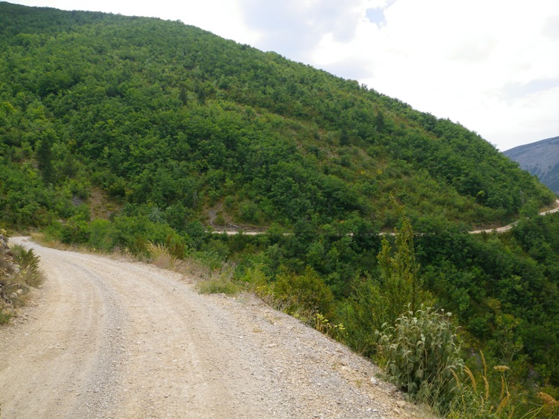 IMGP6884.JPG