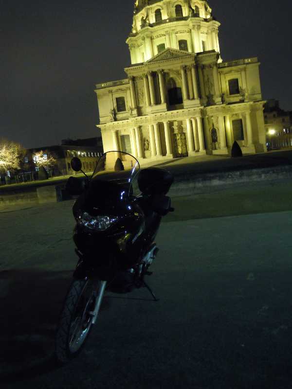 canard de nuit
