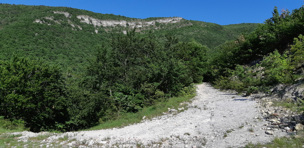 OMIMG_20180518_175327.jpg