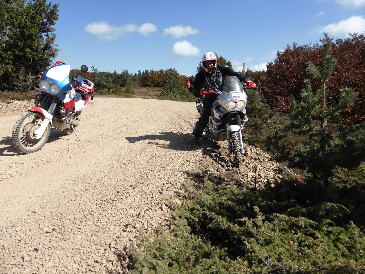 P1050057.JPG