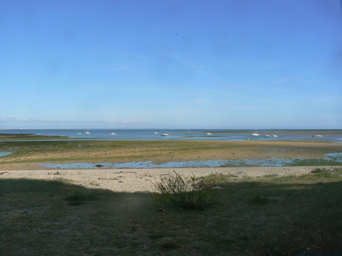 P1150003.JPG