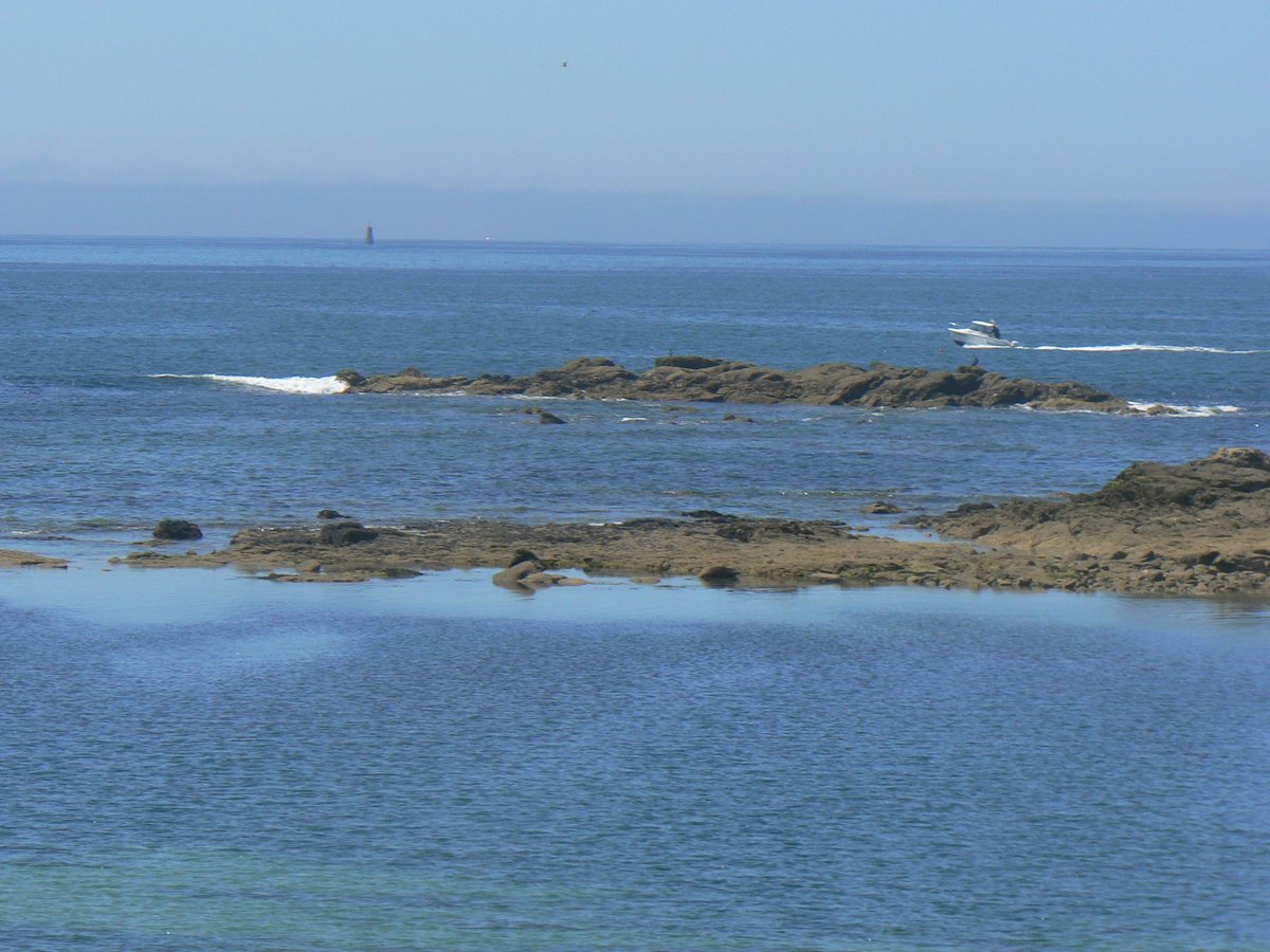 P1150035.JPG