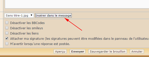 Sans titre-5.jpg