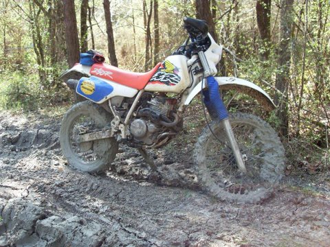 SDC11625.JPG
