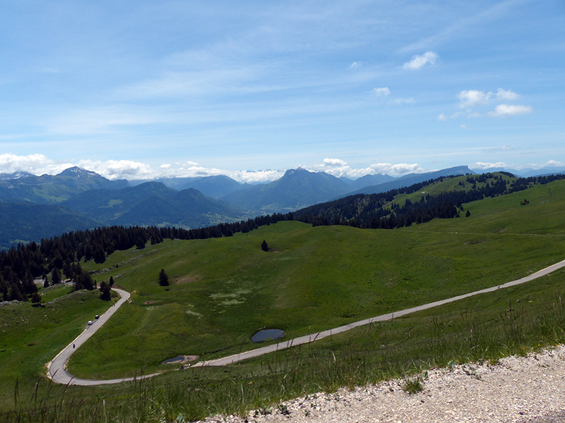 P1440814a.jpg