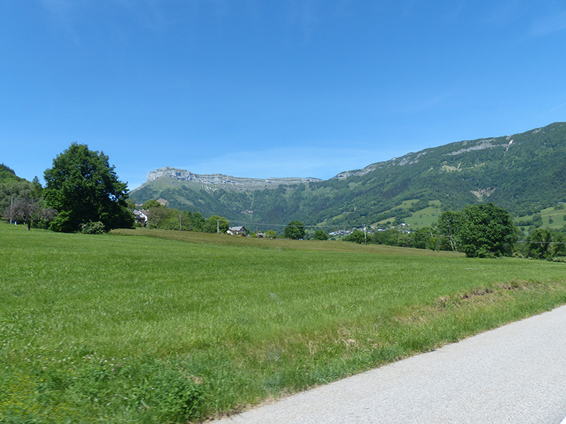 P1440838a.jpg