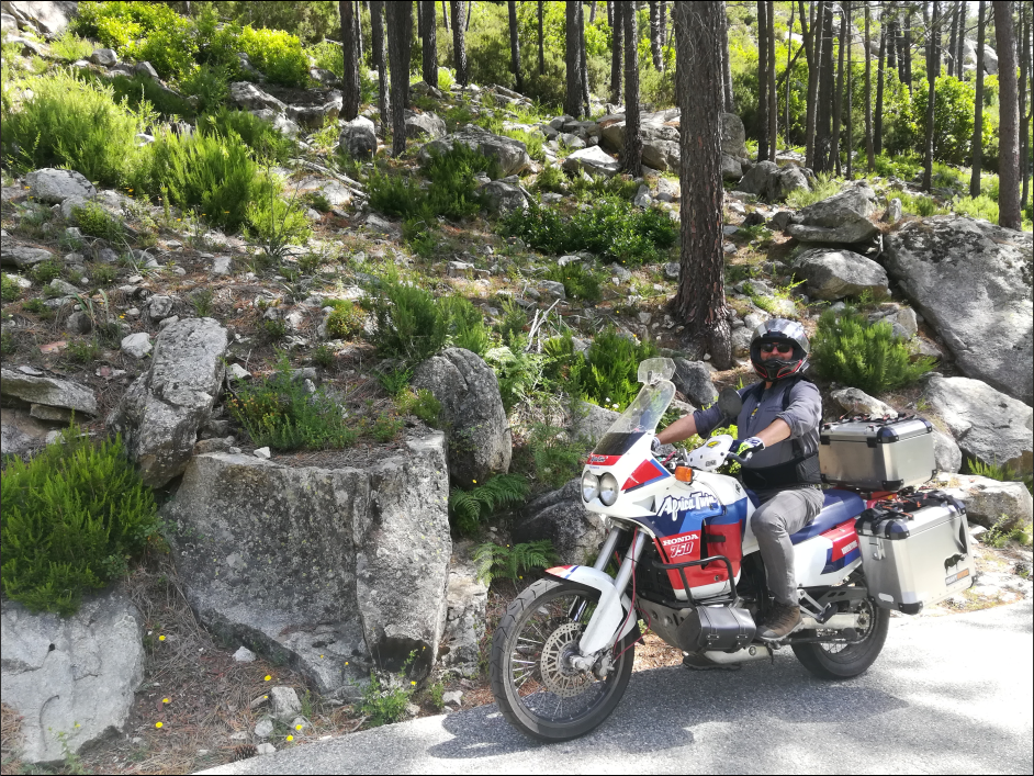 RD04-Corse.png