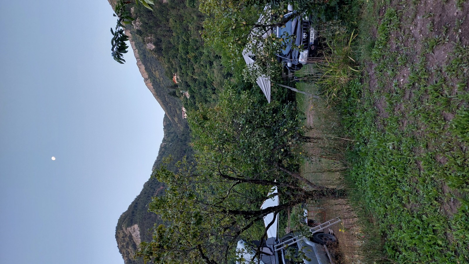 20220815_070319.jpg
