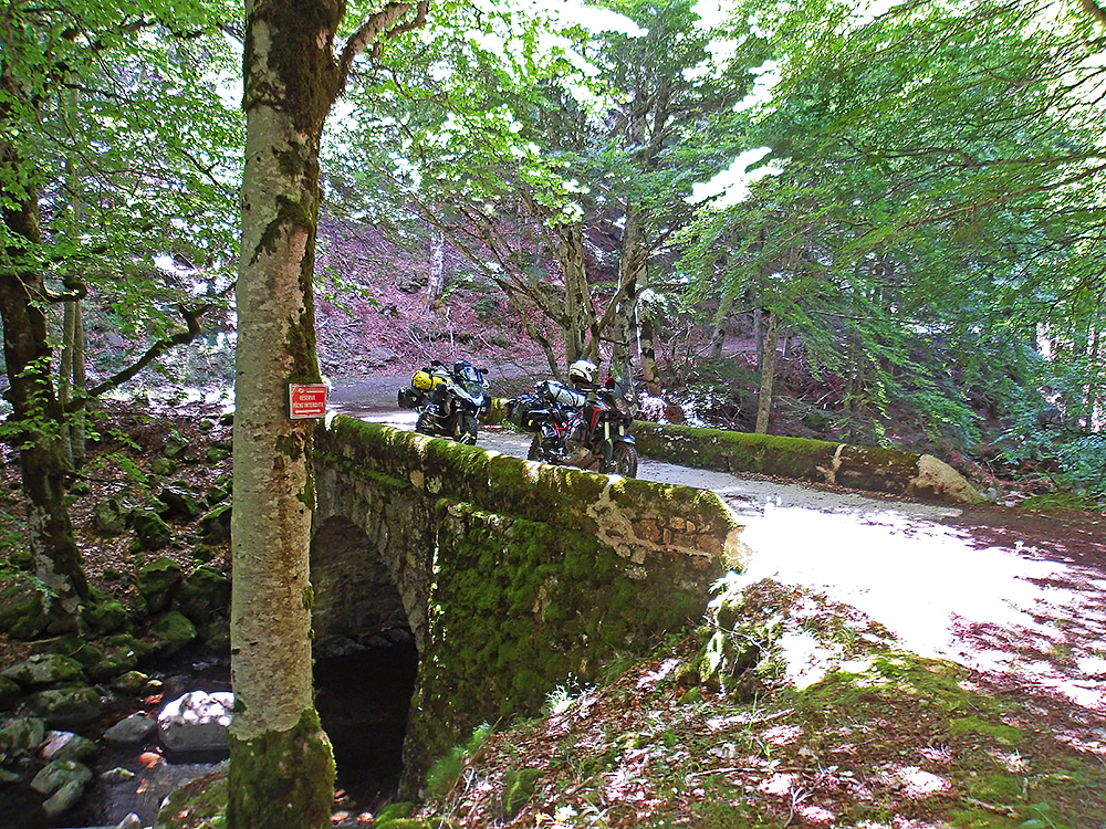 100_0742ok.jpg