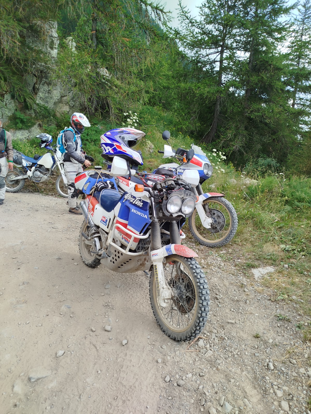 IMG_20240724_164650.jpg