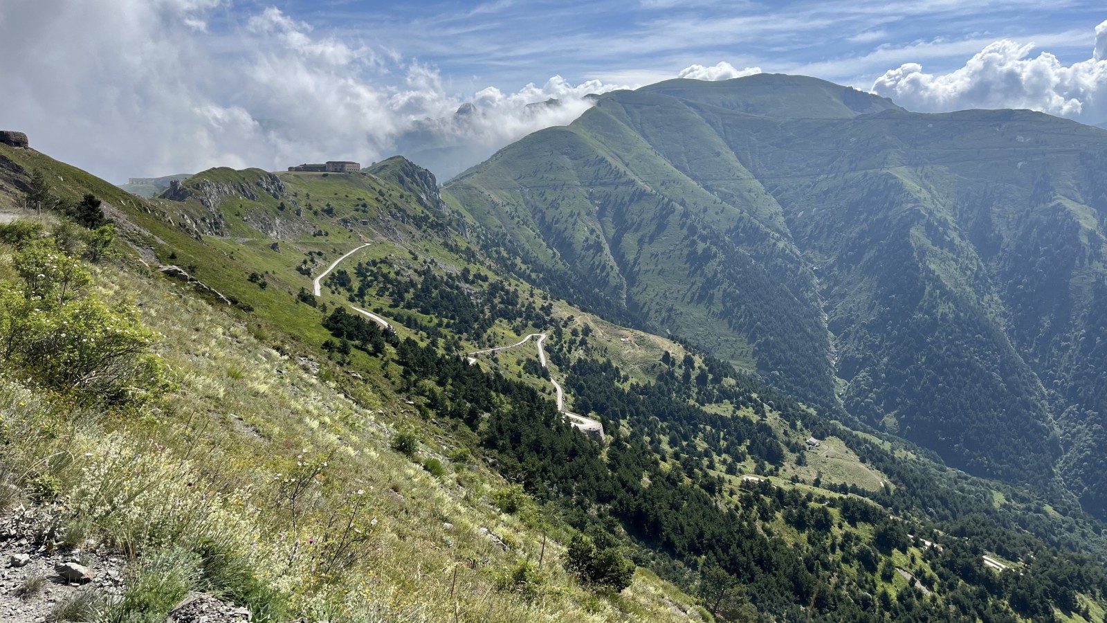 IMG_3128.jpg