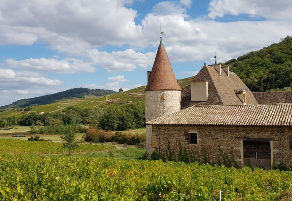 Beaujolais.jpg