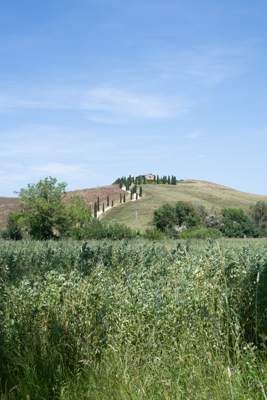 DSC_2021.jpg