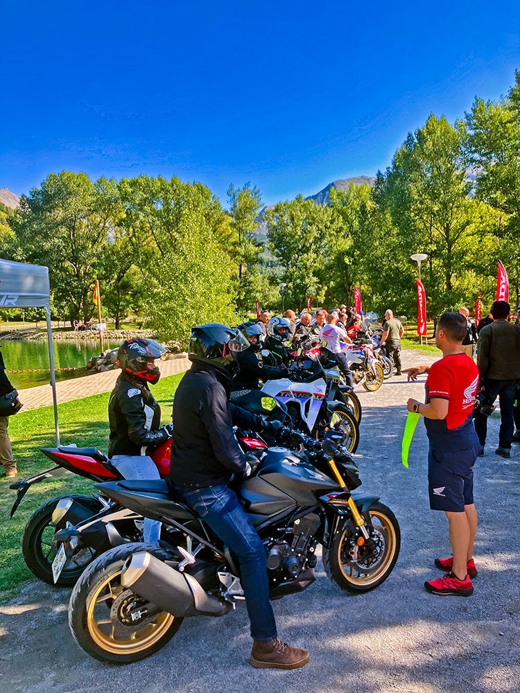 IMG_2966.jpg