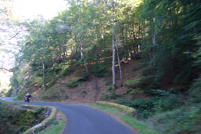 DSC03949a.jpg