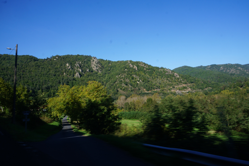 DSC03951a.jpg