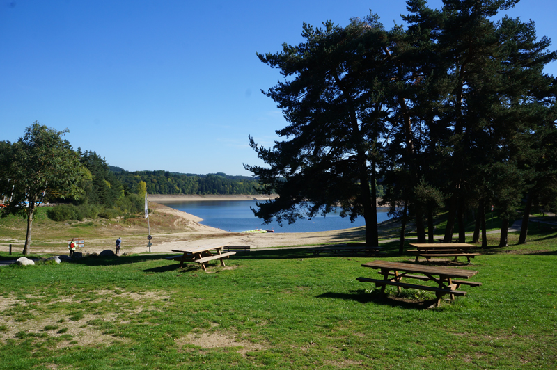 DSC03953a.jpg