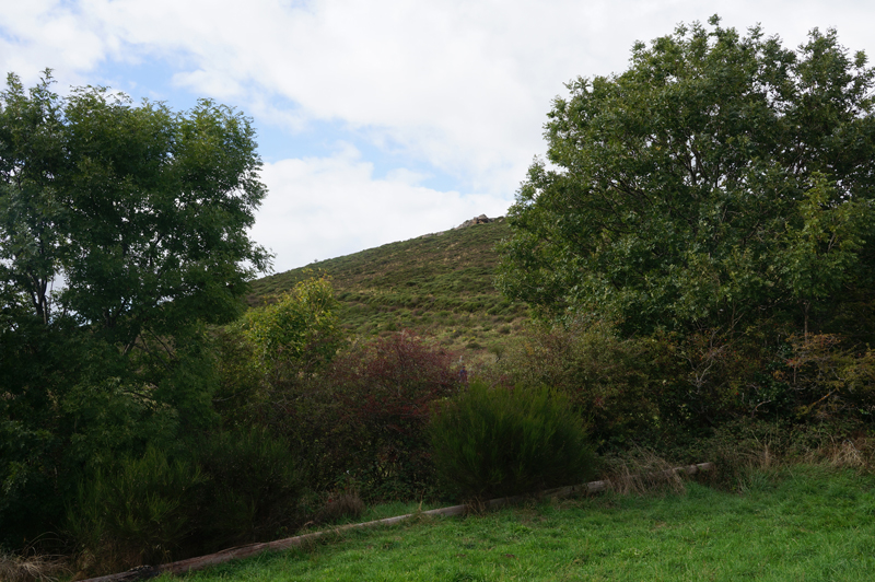 DSC03970a.jpg