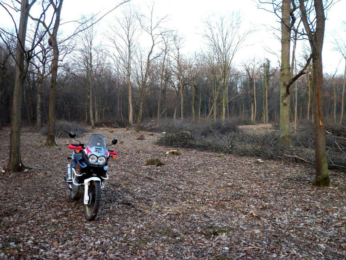 100_2570.JPG