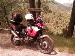 IMG_20160524_140200 (Small) (WinCE).jpg