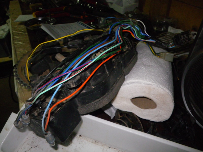 IMGP5861.JPG